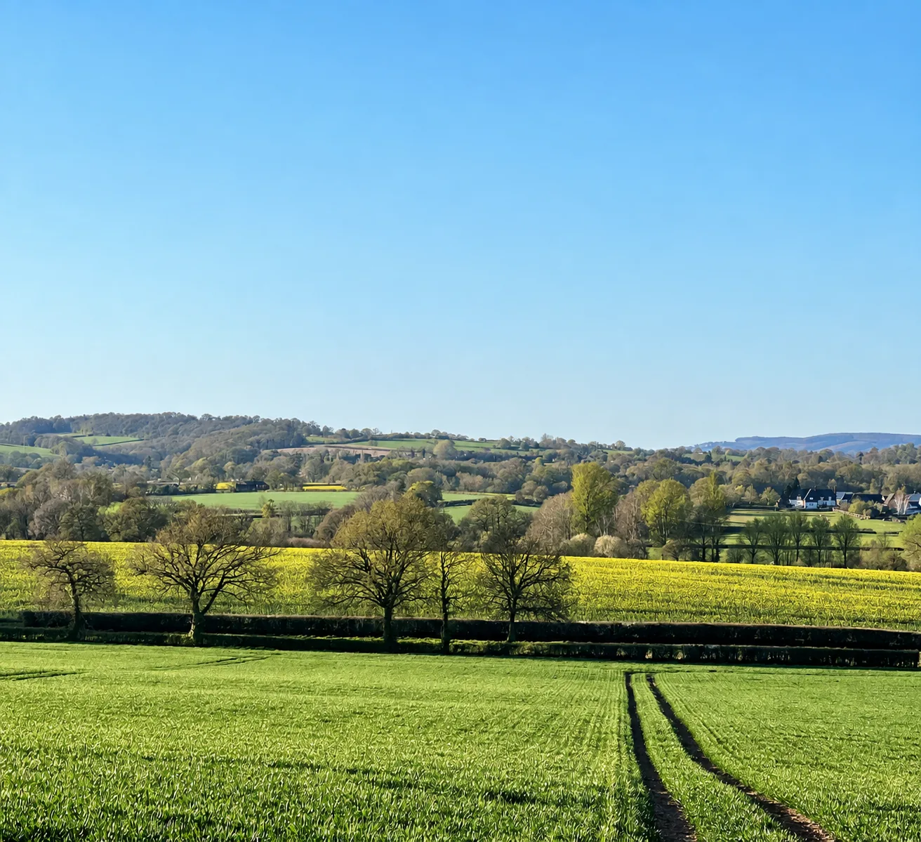 West Somerset farmland surrounding Manor Farm Padel near Taunton